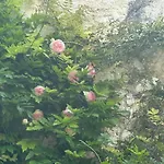 Casa Fonte Vallone Dom wakacyjny