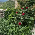 Dom wakacyjny Casa Fonte Vallone